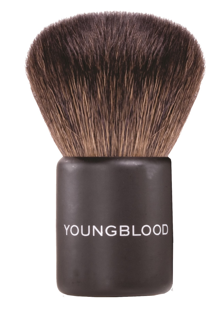 17014-Brushes-Large-Kabuki-Brush.jpg